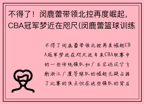 不得了！闵鹿蕾带领北控再度崛起，CBA冠军梦近在咫尺(闵鹿蕾篮球训练营精英队)