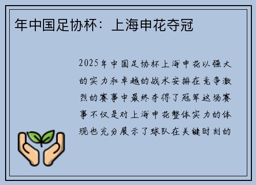 年中国足协杯：上海申花夺冠