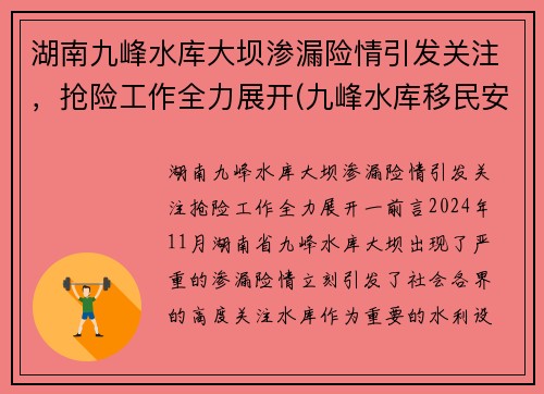 湖南九峰水库大坝渗漏险情引发关注，抢险工作全力展开(九峰水库移民安置政策)